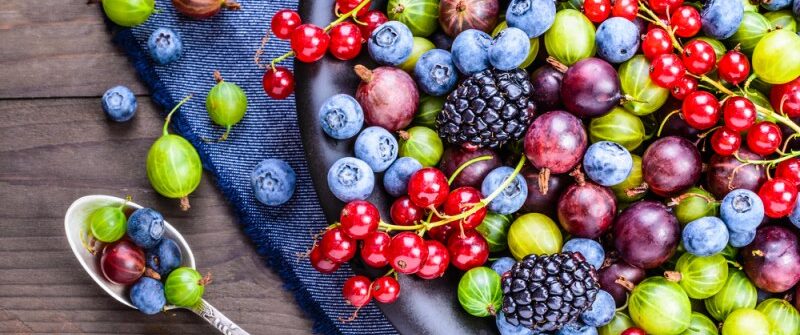 Jeffersonhealthcarellc